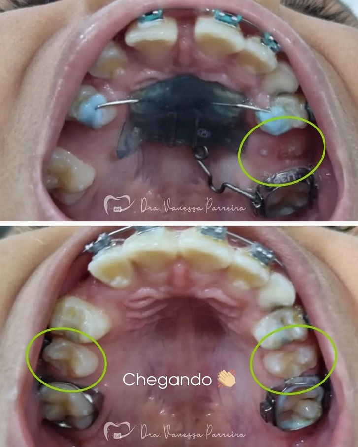 medsaúde odontologia